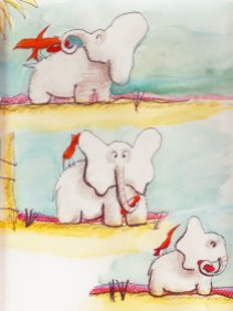 elephant finds shoe
